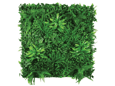 How to create a green wall