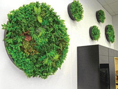 What is a green wall - green wall discs - green wall disks