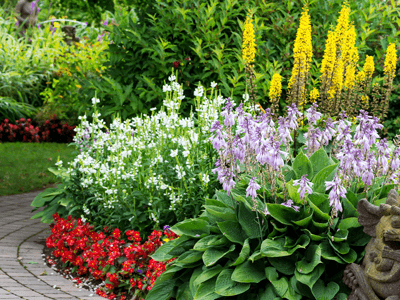 Choosing landscaper plants and flowers for outdoor space