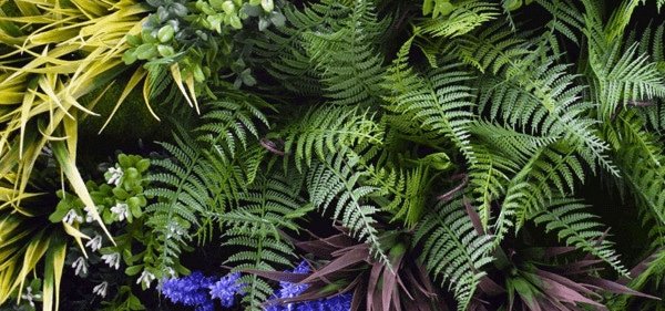 Choosing the right artificial vertical wall garden