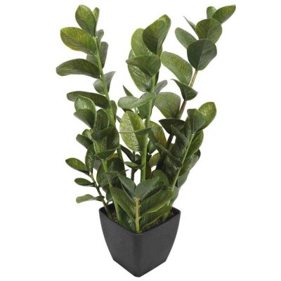 artificial potted zanzibar plant