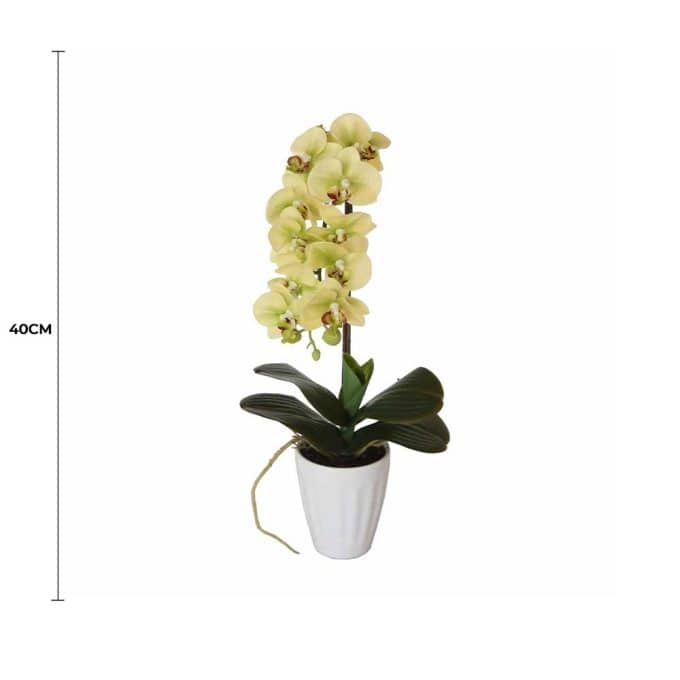 40cm Butterfly Artificial Orchid Cream