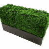 Metal planter for artificial hedges with boxhood with boxhood (1)