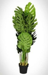 Unfold your fake plant: Step 1 remove plastic packaging from your fake plant