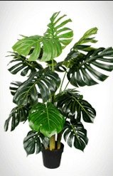 Unfold your fake plant and enjoy the finished installation