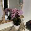 potted faux orchid pink