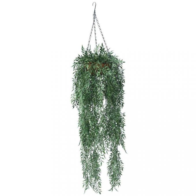 Fern Hanging Basket