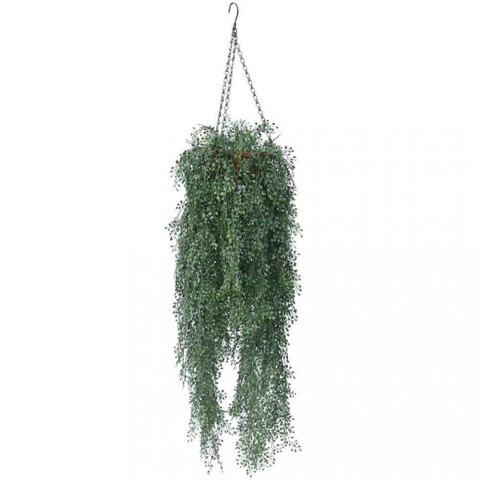 English Hanging Basket UV Resistant