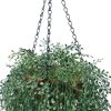 English Hanging Basket UV Resistant - Details
