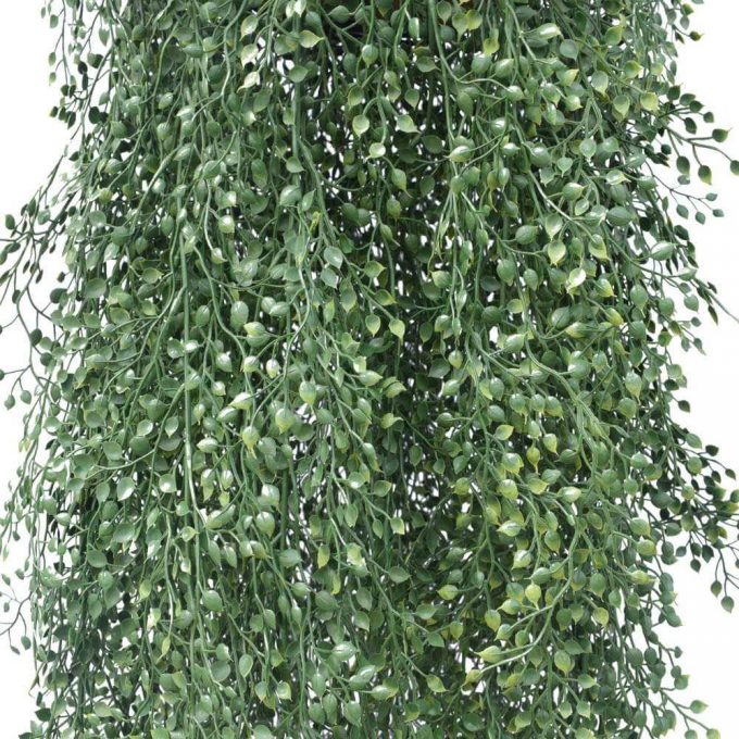 English Hanging Basket UV Resistant