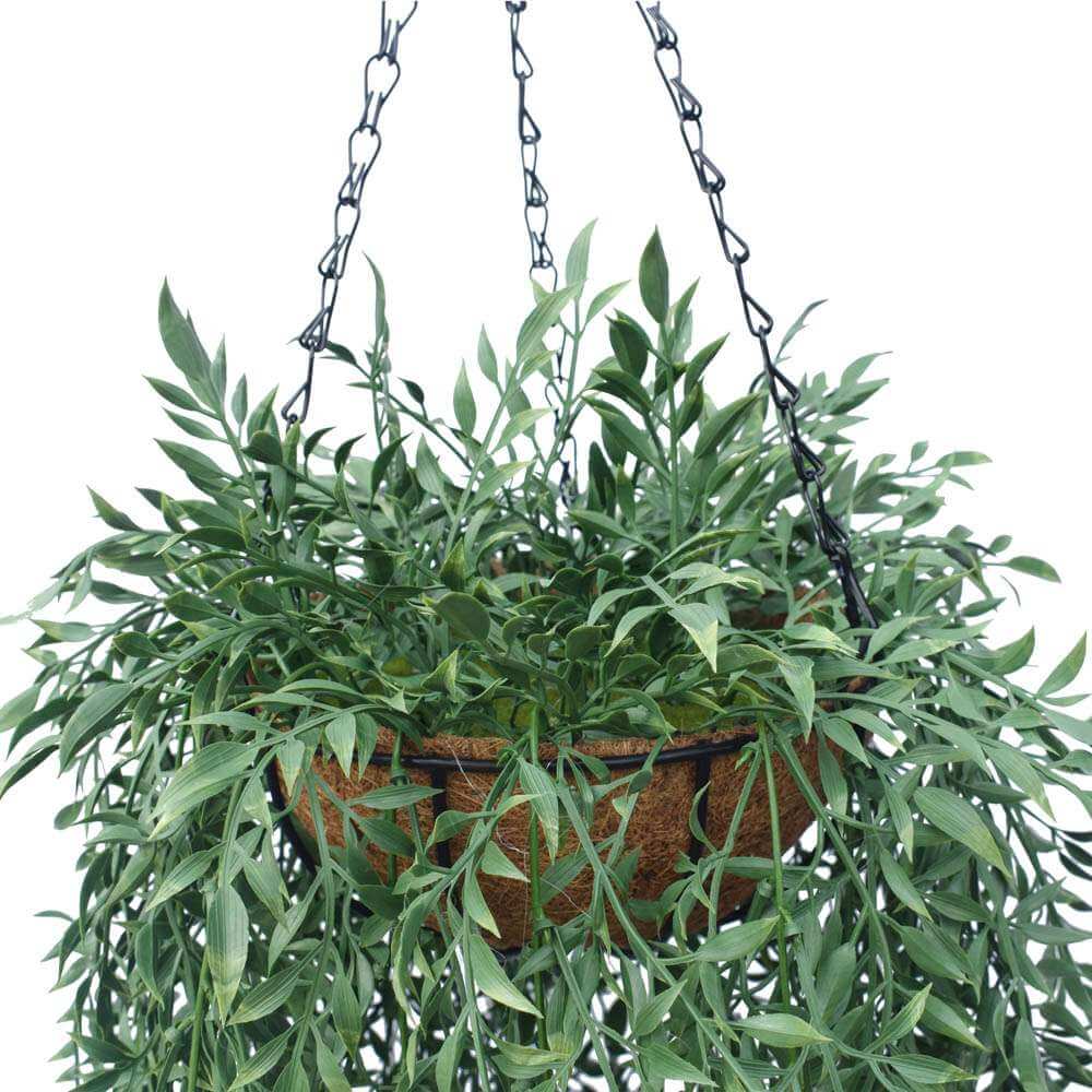 Artificial Hanging basket plant
