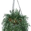 Fern Hanging Basket Details