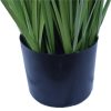 Flowering Native Grass -Pot