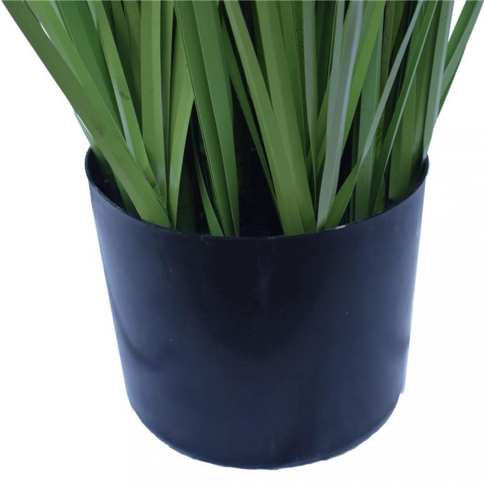 Flowering Native Grass -Pot