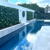 Snowy White In the Pool