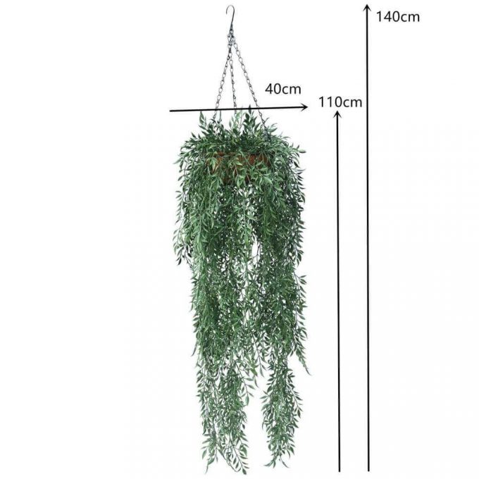 Fern Hanging Basket