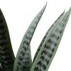 Artificial Snake Plant UV Resistant - Leaf