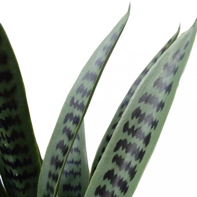 Artificial Snake Plant UV Resistant - Leaf