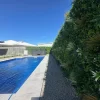 Wild Tropics Installation in a pool area