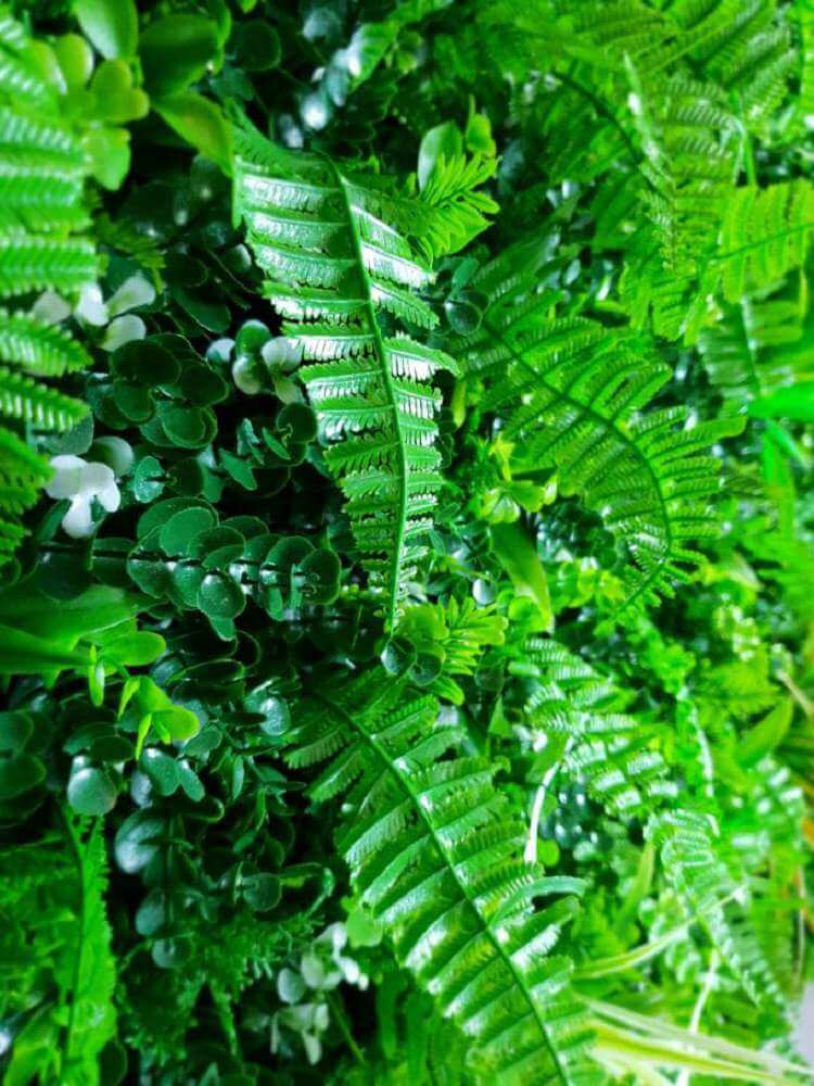 mixed green wall