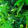mixed green wall