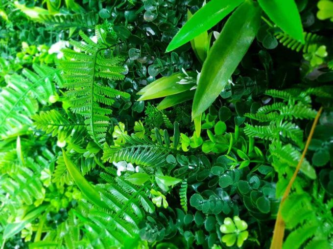 mixed green wall