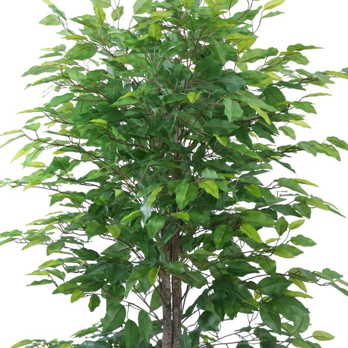 mixed green bushy artificial ficus tree 180cm
