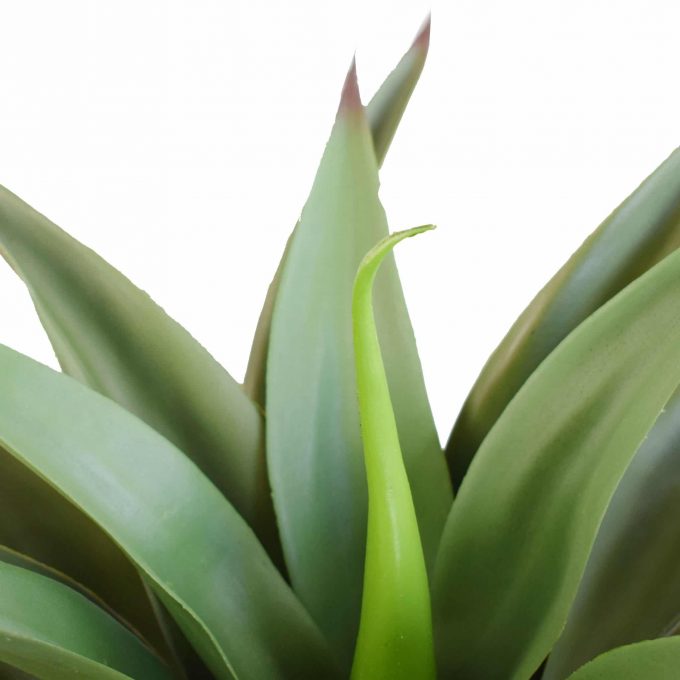 Artificial (fake) agave plant without a pot.