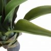 Artificial (fake) agave plant without a pot.
