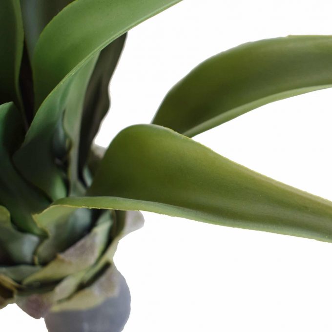 Artificial (fake) agave plant without a pot.