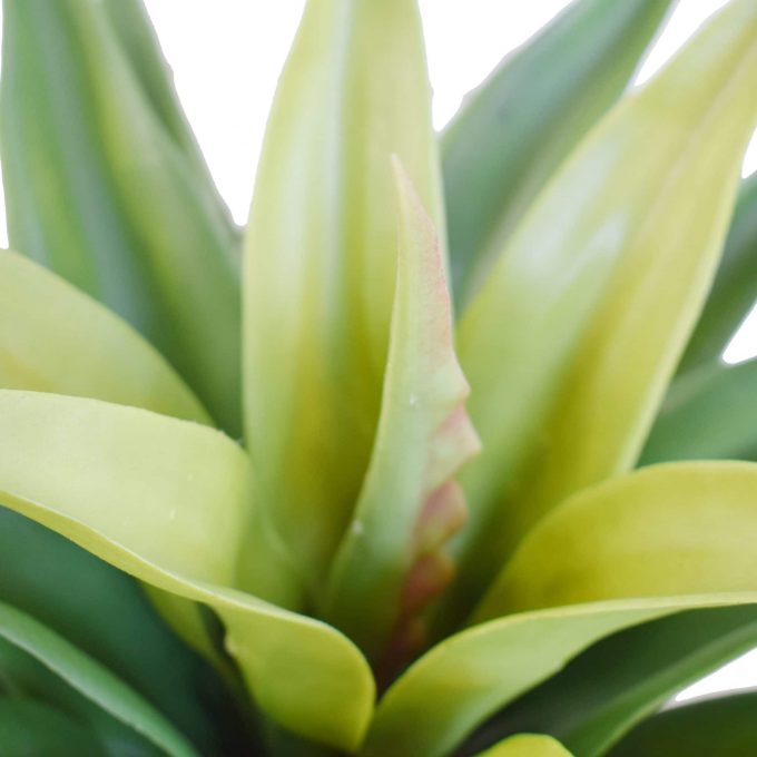 Artificial potted agave (faux plant)