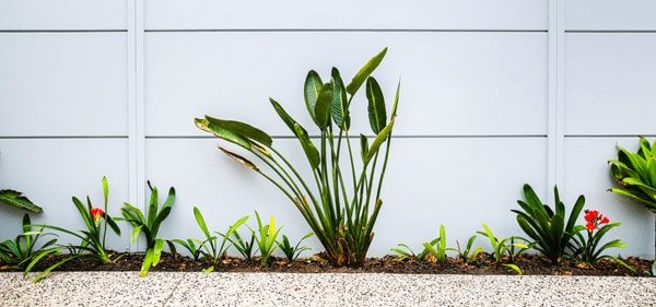 Fence designs and green options for your home