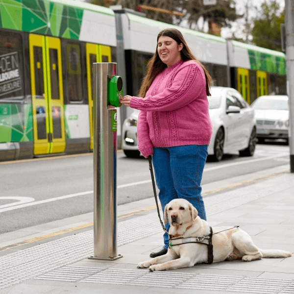 Designer Plants - Supporting Guide Dogs Victoria