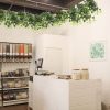 Hanging plants and shop interior design