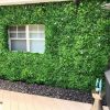 External wall covered in white oasis green wall panels