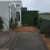 High quality artificial Spring Sensation fake hedge panels with mixed ivy and leaves