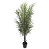 Artificial Areca Palm Black Trunks