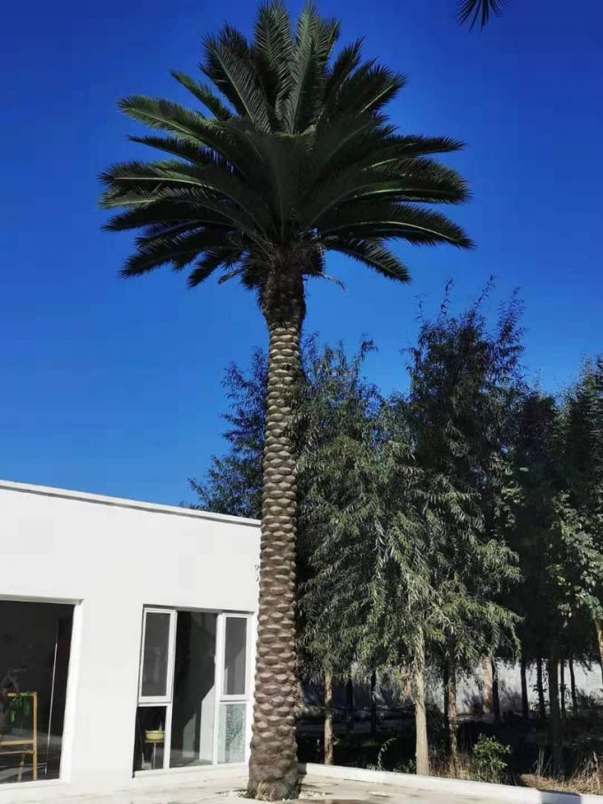 10m Artificial Palm Tree Plant Very Tall