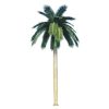 Fake / Artificial Royal Coconut Tree