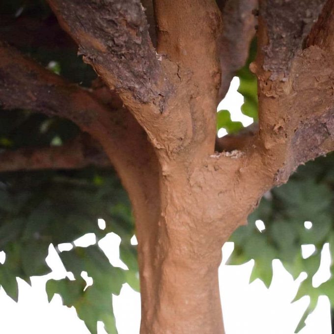 artificial ficus tree with quality leaves