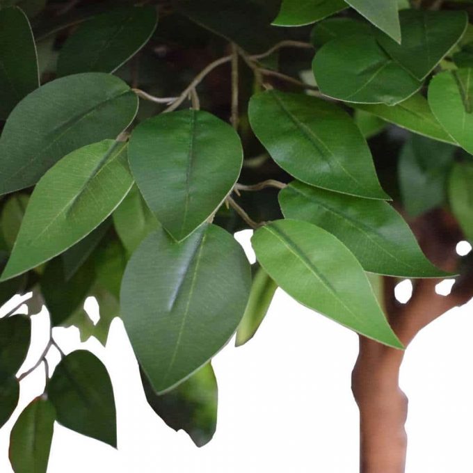 artificial ficus tree with quality leaves