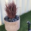 Burgundy Potted Artifiical Grass Plant