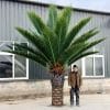 Custom made tall artificial plant and large palm tree plant