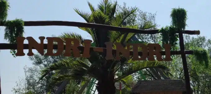 Very tall artificial palm tree at a zoo in Germany behind their sign