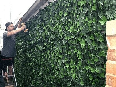 Regain privacy with artificial hedges - ivy wall installation at home - Artificial hedge fence