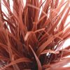 Artificial Ornamental Potted Dense Burgundy Grass Details