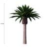 Tall Artificial Canary Palm Tree (4m to 7m) UV Resistant