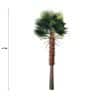 Tall Artificial Fan Palm Tree (4m-To-7m) UV Resistant
