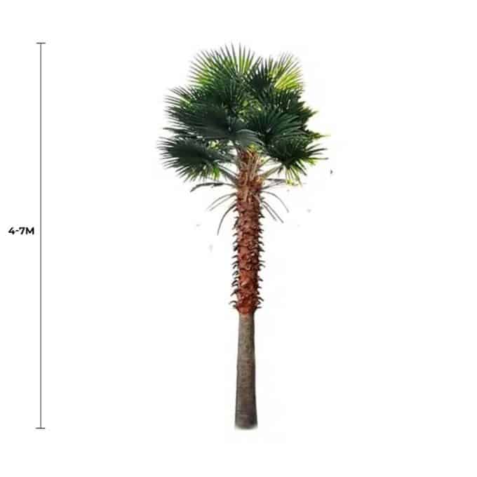 Tall Artificial Fan Palm Tree (4m-To-7m) UV Resistant