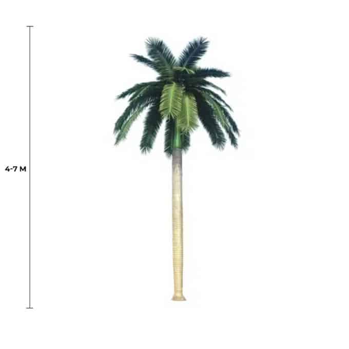 Tall Artificial Royal Coconut Palm Tree (4m to 7m) UV Resistant